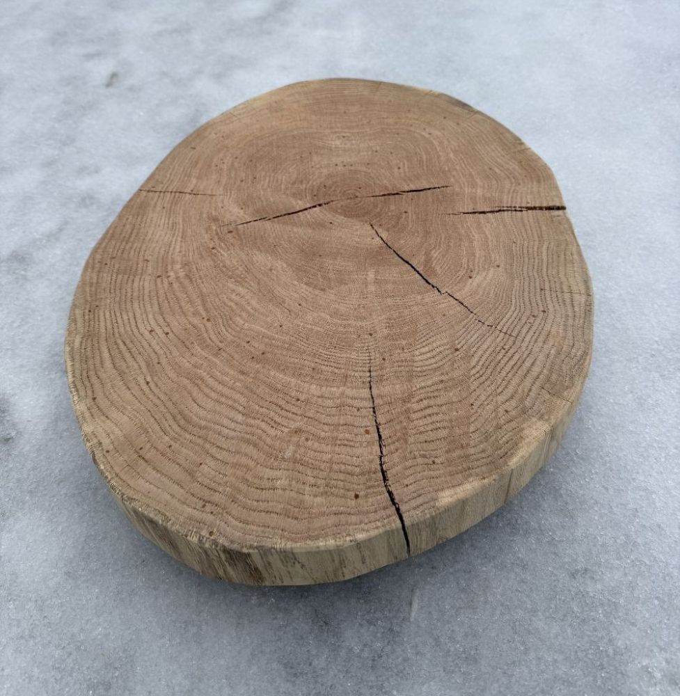 Baumscheibe von der Roteiche